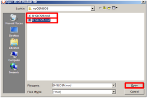 BHSLCS M .mod example.png