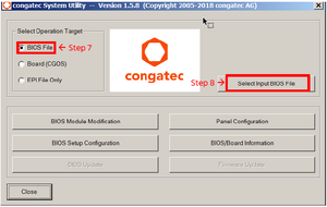 Select Input BIOS ROM file.png