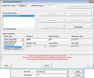 BIOS boot logo module 2.png