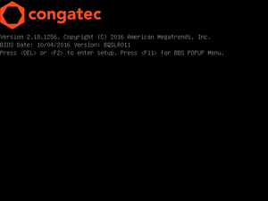 BIOS Update AN01 005.png