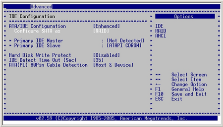 Configure RAID System (002).png